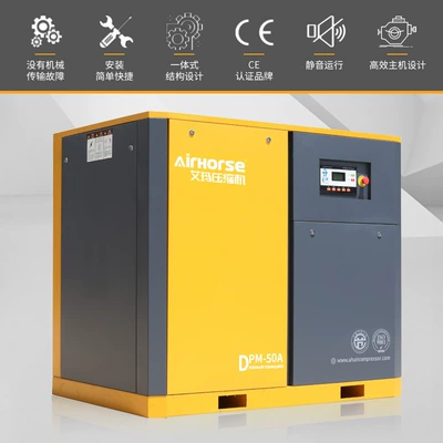 Hava kompressorları machine permanent magnet variable