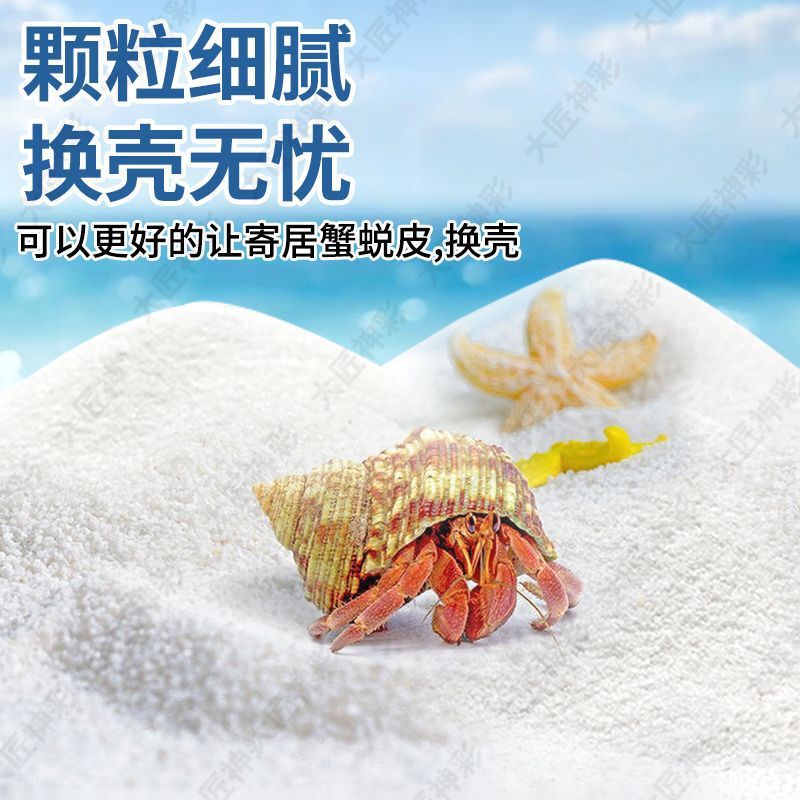 寄居蟹专用沙天然垫材免洗白沙珊瑚沙菲律宾沙子砂原生贝壳沙白色|undefined