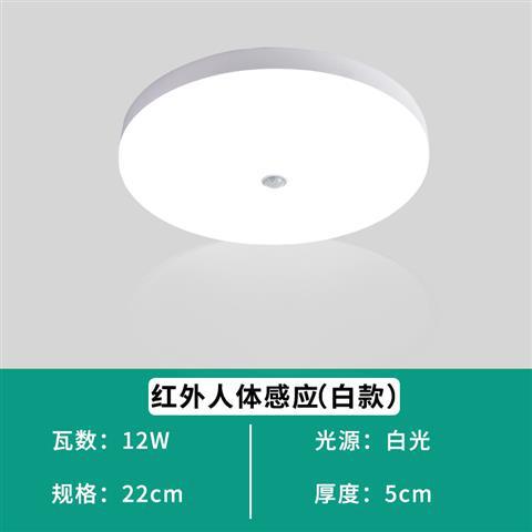 Full moon human body sensor 12 watts (diameter 22cm)