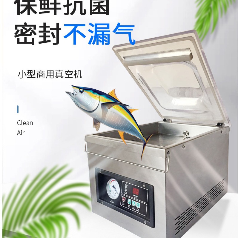 DZ260单室真空包装机 食品真空封口机 烤肠真空包装机 商用真空机