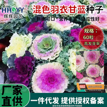 �S�����l��ɫ���¸��{�N�ӿ��^�pʳ�àI�B�S�����¸��{�N�ӿ�����