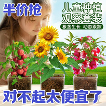 ��ͯ�NֲС���ԿƌWС������bֲ���ϵ���L�^����ֹ��NֲDiy