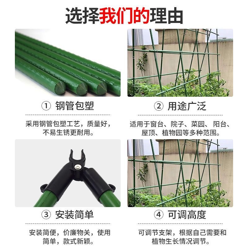 Rack de uva, rack de vid, rack de fruta, pepino, pepino, clematis verde, rack de vid, tubo de acero encapsulado, varilla de vid