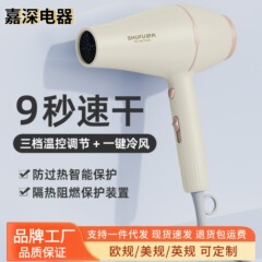 舒夫髪廊電気ヘアドライヤー家庭用マイナスイオンヘアケア大風力理髪店は工場の源流代を傷つけない