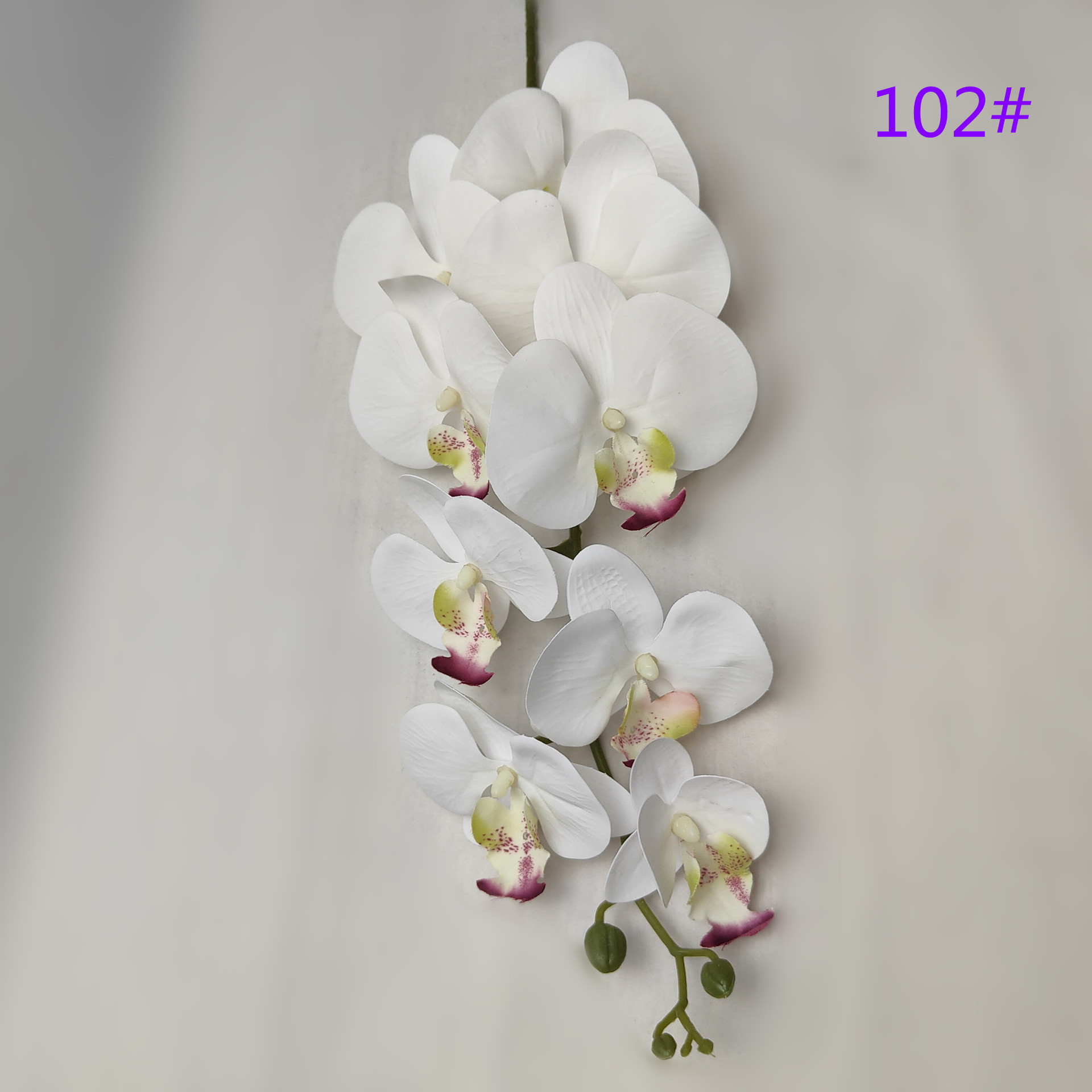 IMG20230509162240_副本