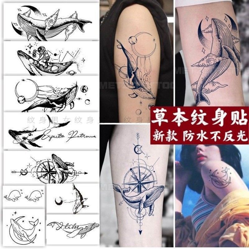 Whale Herbal Juice Sticker Cartoon Tattoo Waterproof Long-Lasting Female Cute Simulation Small Picture Sticker Internet Celebrity Whale Herbal Juice Sticker Cartoon Tattoo Waterproof Long-Lasting Female Cute Simulation Small Picture Sticker Internet Celebrity