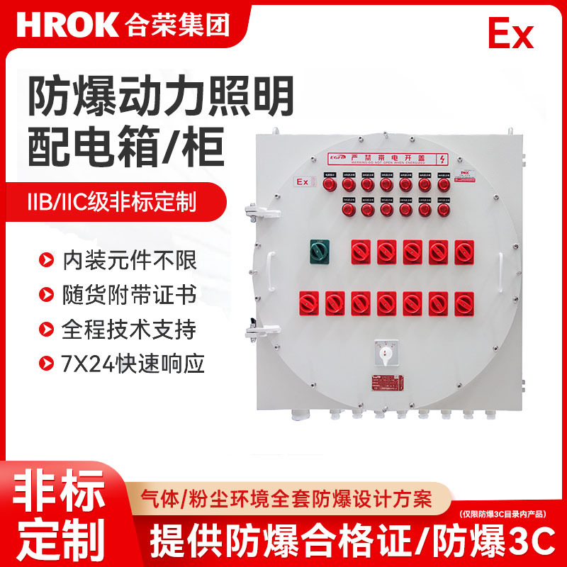 防爆配电箱非标制作防爆控制箱照明动力箱防爆接线箱防护