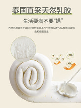 |ҬȻؙӲ|181.5mۯB12ͯ״|Ʒ