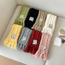 韩国原单2025秋冬新款软糯纯色麻花毛线围巾女手工流苏氛围感保暖
