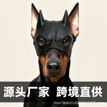 ؈����ߌ�����Ʒ�����b؈���ɫ���ρ��R�d�¿��^����������Ɍ�