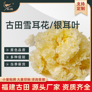�y�����y���~�K���Ƹ���������Nʳ�þ���؛�S��ɢ�b���b���lʳ��