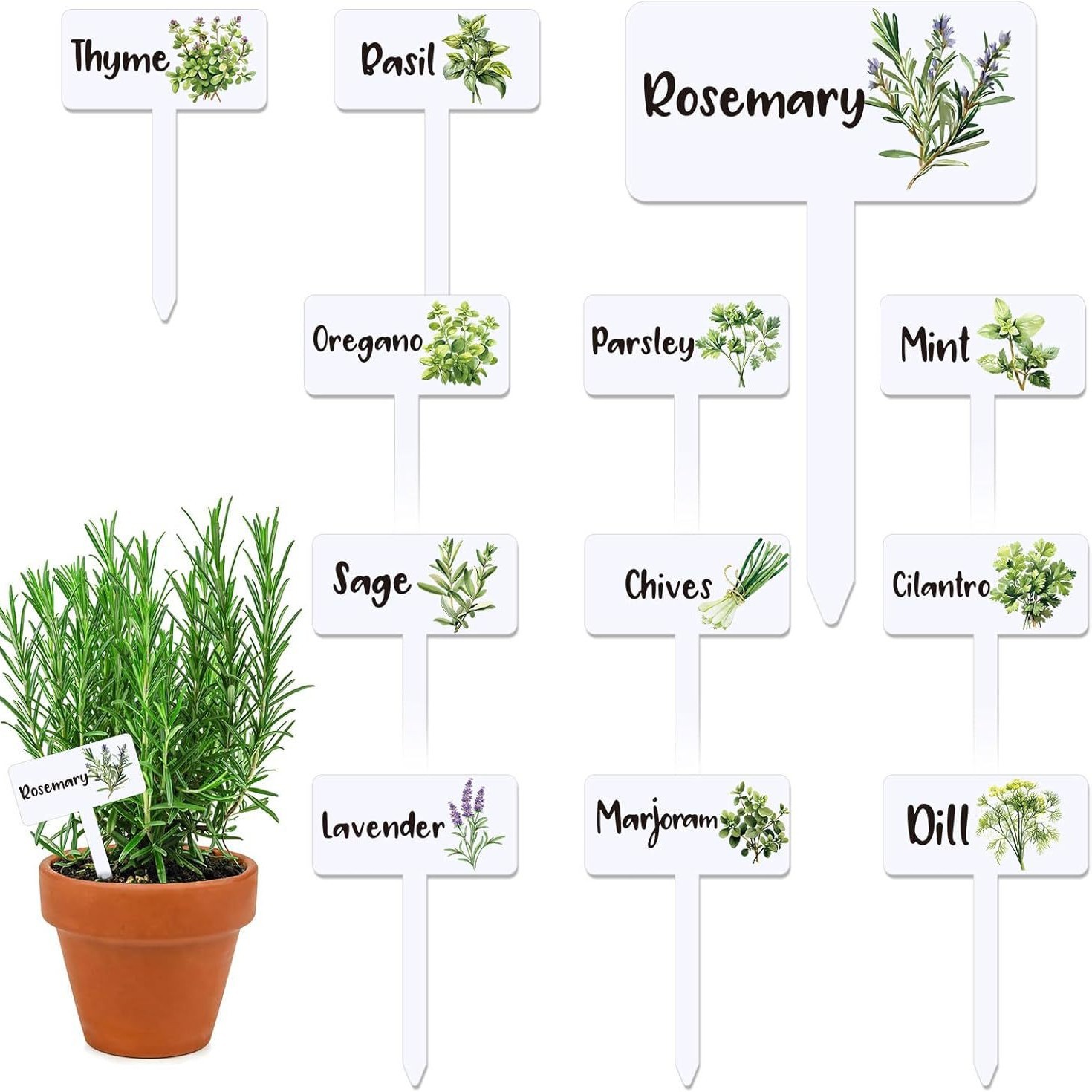 跨境热销亚克力植物标签T型草本花园标记幼儿园室内室外花园装饰