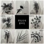 花地仿真系列摄影绿植