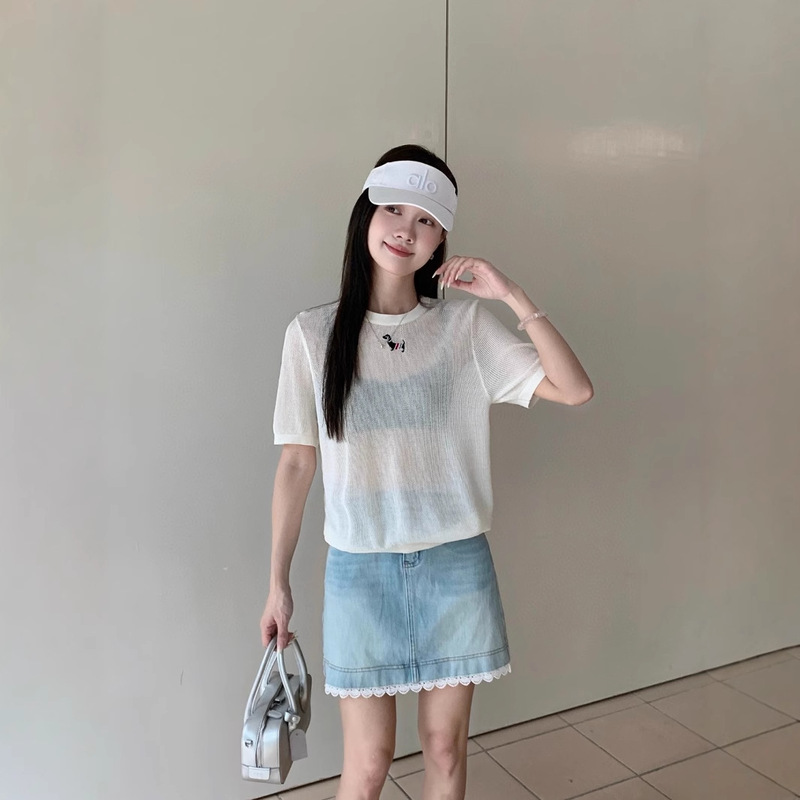 Haute Couture College Style 25Th Summer New Style Hollow Mesh Chest Puppy Embroidery Back Color Strip T-Shirt for Women