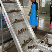 ��̨�r�����ӹ��O�� �������c�C ������ϴ�C ���������