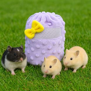 �ﶬ�P�۴������y�۴����}��ů��ܛ�����K�����q��֦��C˯��