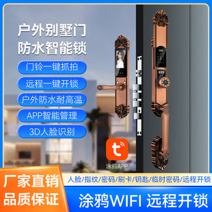European-Style Villa Double-Open Double-Door Home Fingerprint Lock Door Anti-Theft Door Smart Retro Rural Lock Password Lock