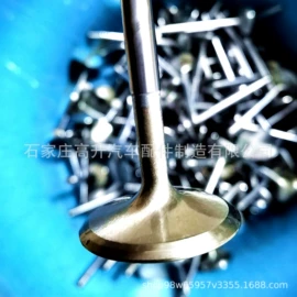 其他发动系统;气门及部件;活塞/活塞环