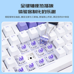 �ȿ���ģGASKET�Y�����I�_��RGB���ƻ��Α�Cе�I�P�k��ͨ��