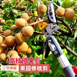 修枝剪;其他园林工具