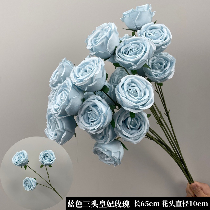 블루 프린세스 로즈