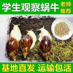 �������΁ţ���w�W���ƌW���I����^��̌W�����[������
