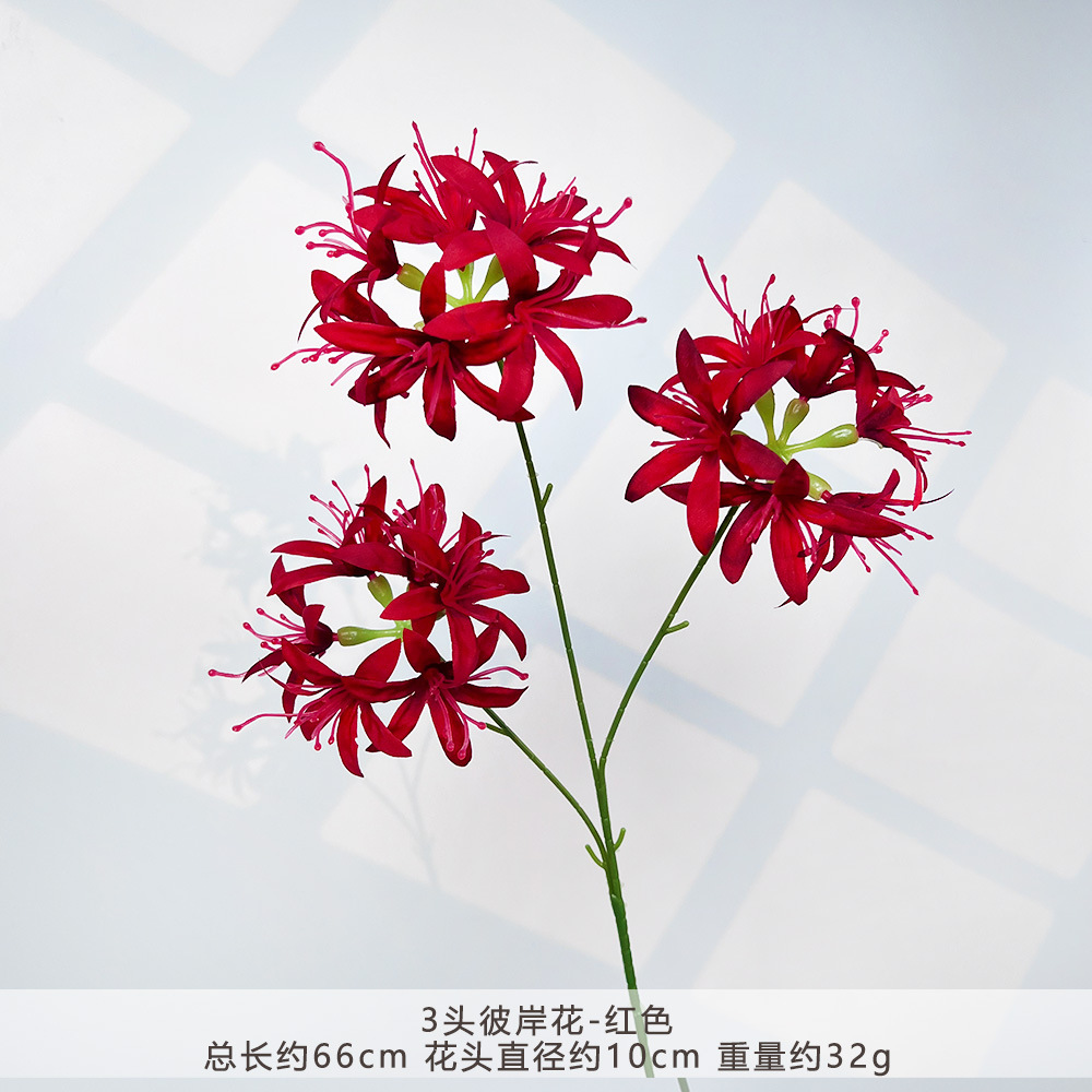 Hxx-3 heads of spider lily - red
