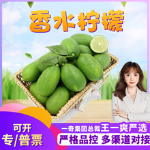 �����x������ӏ��^��ˮ���� ���l3�����r���������ʮ�������ˮ��