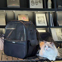 F؛Rd؈չ͸yg؈䱳͸