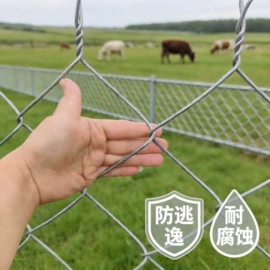 铁丝网;养殖网;护栏网