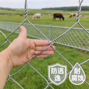 ��\䓽z�W�����F�z�W���ھW�Bֳ�W���ڹ�ţ���i���β��P���o�W