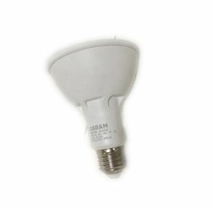 �W˾���������LED��� LEDPAR3015 20W E27 ������LED����30&deg;