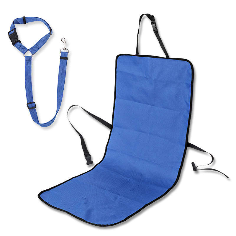 파란색 시트 쿠션 + 안전벨트