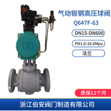 A105����䓸߉����yQ647F-PN63-PN160