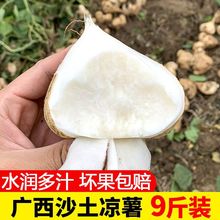 新鲜凉薯农家现挖现发时令孕妇水果蔬菜番薯红薯其他食用农产品