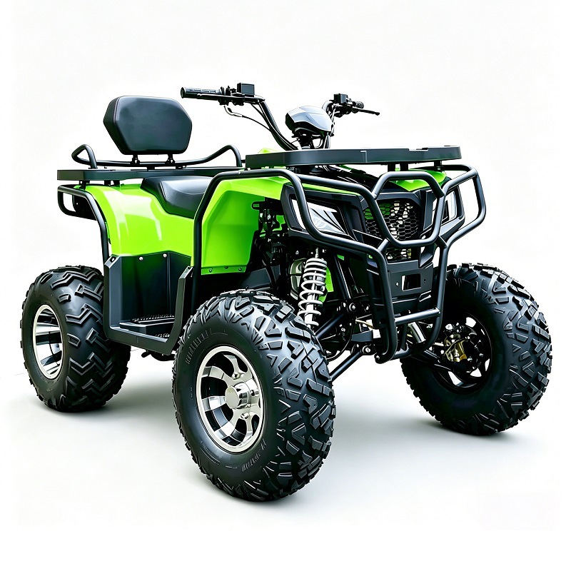 Cuatrimoto ATV Todo Terreno 200cc de Hierro y Plástico con Transmisión Automática para Montaña image 6