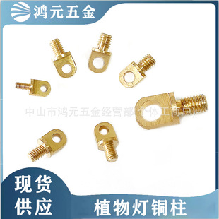 Copper Hook Flat Head Screw Copper Lifting Ear Drone Screw Fixed Buckle Plant Lamp Screw Brass Column Copper Hook