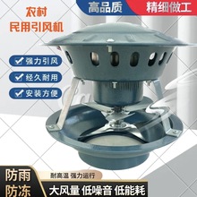 MڼßLCşCͨLʟͲ𿻠t