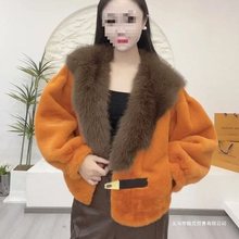 新款气质冬季大毛领短款外套一体水貂绒皮草毛毛短外套女