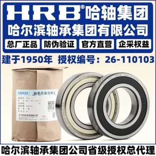 HRB 哈尔滨轴承 16001 16002 16003 16004 -ZZ 2RZ