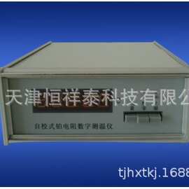 RCY-A系列校准式铂电阻数字测温仪 RCY-1A,RCY-2A,RCY-3A