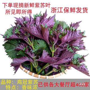 ���l���r�F�F�lժ���K�~�r��ȫ�~����ȥ�Ȱ��]�Fժ�o�L�U��ʳ����