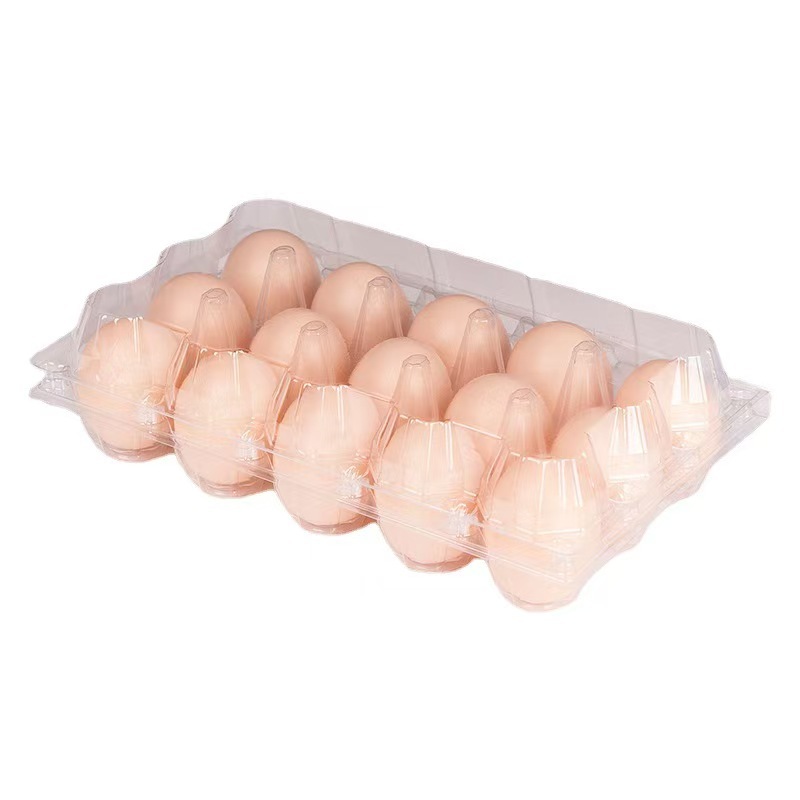 10/15枚中号翻盖塑料鸡蛋盘PET透明吸塑鸡蛋托包装盒加厚抗压现货