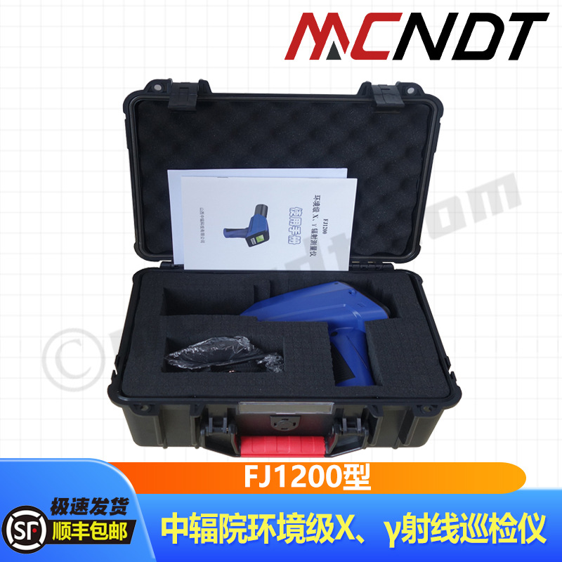 FJ1200巡检仪中辐院环境级x γ辐射测量仪 辐射剂量仪 射线报警仪