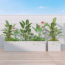 ���ⲻ�P䓻����̨�Nֲ��V���̘I���L������[�����Fˇ��Ʒ����