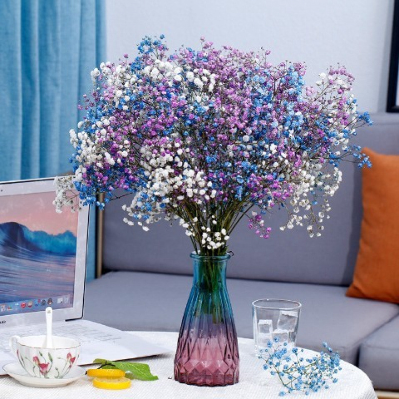 사파이어 블루 + 퍼플 + 화이트 아기의 숨결 - 꽃병 없음