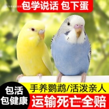 �W�^���B��Ƥ�W�^�B�С�B���W�fԒ���B���B����С���W�^һ��һĸ