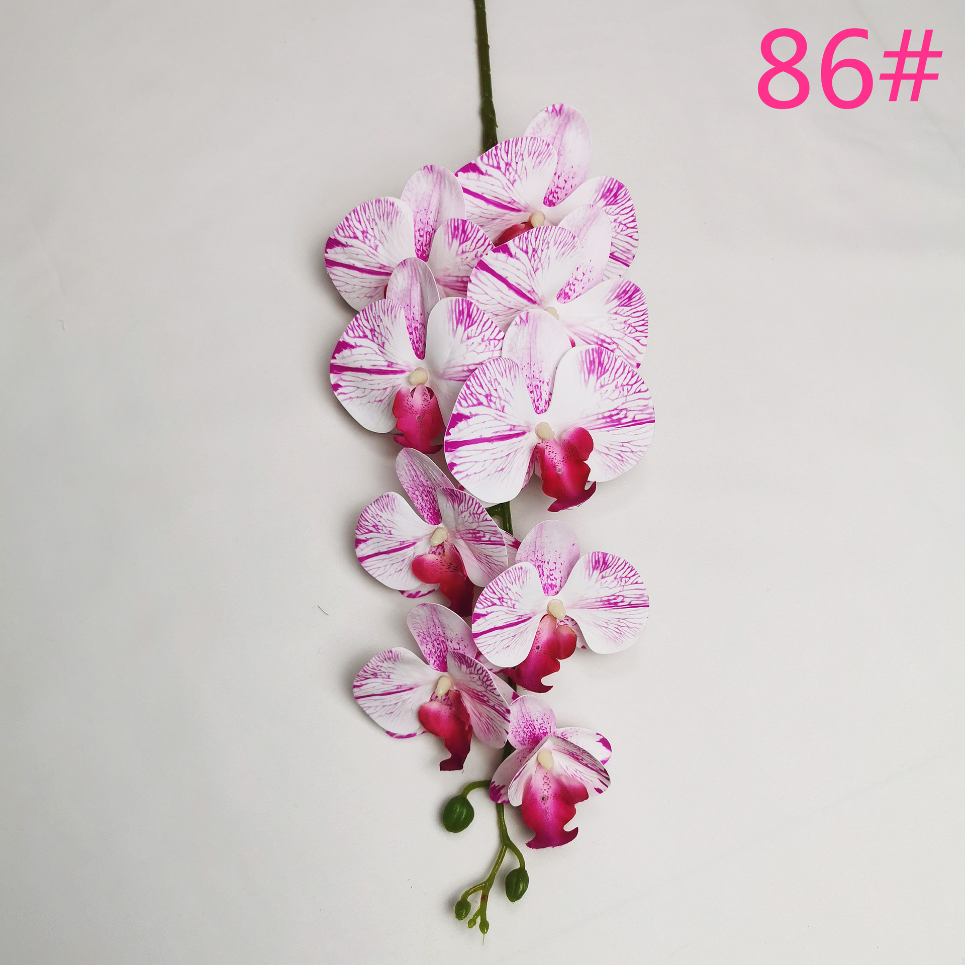 IMG_20220604_183537_副本