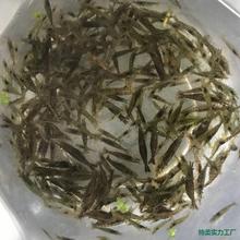 ���r���r���r�r����^�p�������坍�r���w�r�����r���~��ϳ�����