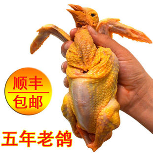 ����ɽ���B���������� ɢ�B ���������r ���� �������������F��